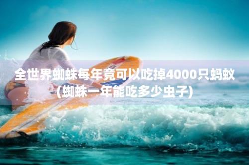 全世界蜘蛛每年竟可以吃掉4000只蚂蚁(蜘蛛一年能吃多少虫子)