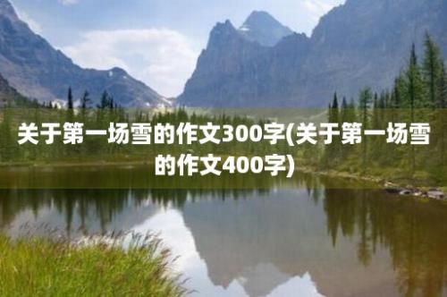 关于第一场雪的作文300字(关于第一场雪的作文400字)