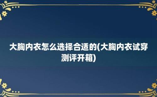 大胸内衣怎么选择合适的(大胸内衣试穿测评开箱)