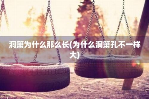 洞箫为什么那么长(为什么洞箫孔不一样大)