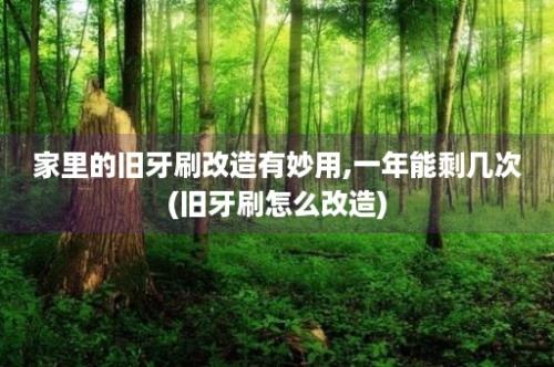 家里的旧牙刷改造有妙用,一年能剩几次(旧牙刷怎么改造)