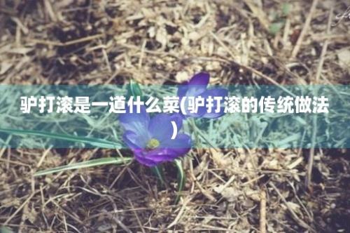 驴打滚是一道什么菜(驴打滚的传统做法)