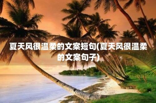 夏天风很温柔的文案短句(夏天风很温柔的文案句子)