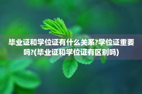 毕业证和学位证有什么关系?学位证重要吗?(毕业证和学位证有区别吗)