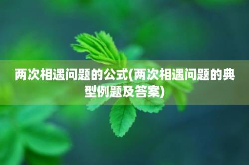 两次相遇问题的公式(两次相遇问题的典型例题及答案)