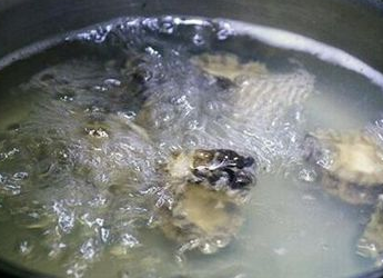 家常鲍鱼怎样做