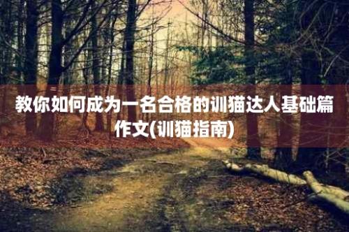 教你如何成为一名合格的训猫达人基础篇作文(训猫指南)