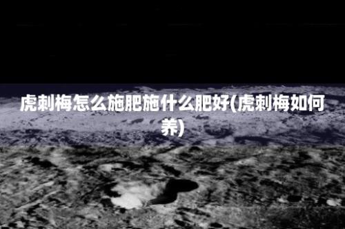 虎刺梅怎么施肥施什么肥好(虎刺梅如何养)