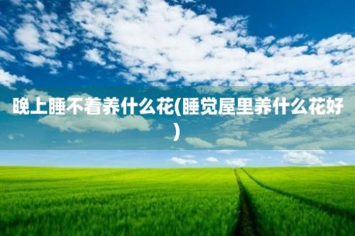 晚上睡不着养什么花(睡觉屋里养什么花好)