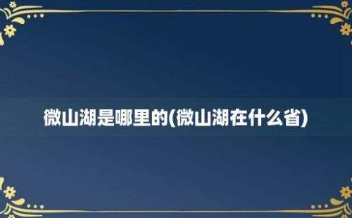 微山湖是哪里的(微山湖在什么省)