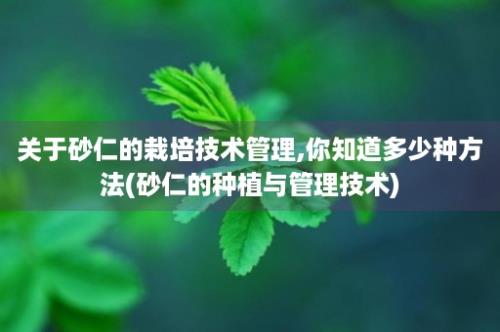 关于砂仁的栽培技术管理,你知道多少种方法(砂仁的种植与管理技术)