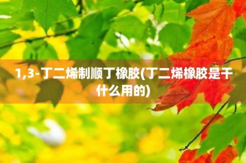 1,3-丁二烯制顺丁橡胶(丁二烯橡胶是干什么用的)