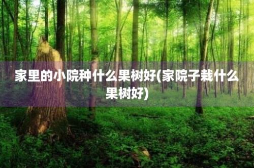 家里的小院种什么果树好(家院子栽什么果树好)