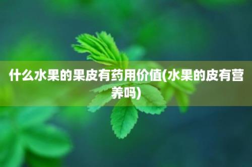 什么水果的果皮有药用价值(水果的皮有营养吗)