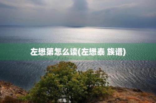 左懋第怎么读(左懋泰 族谱)