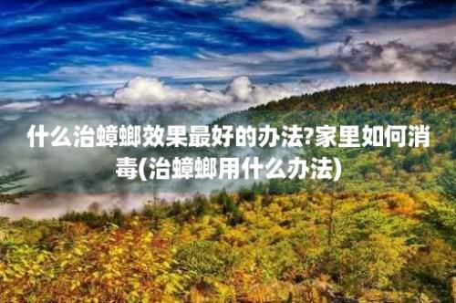 什么治蟑螂效果最好的办法?家里如何消毒(治蟑螂用什么办法)