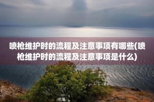 喷枪维护时的流程及注意事项有哪些(喷枪维护时的流程及注意事项是什么)