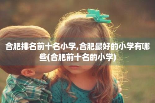 合肥排名前十名小学,合肥最好的小学有哪些(合肥前十名的小学)