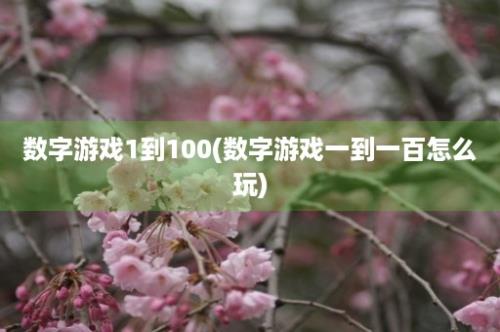 数字游戏1到100(数字游戏一到一百怎么玩)