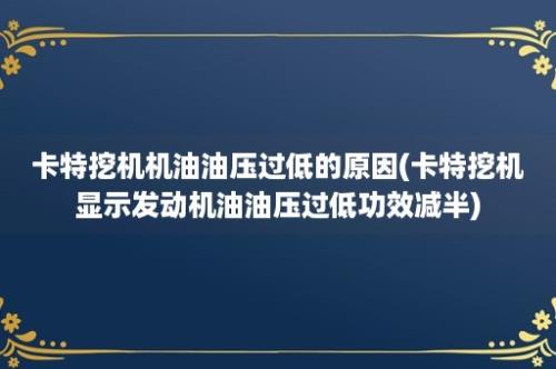 卡特挖机机油油压过低的原因(卡特挖机显示发动机油油压过低功效减半)