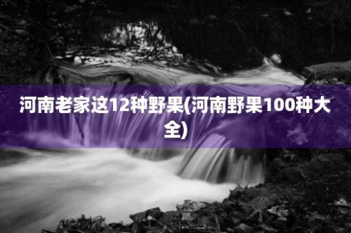 河南老家这12种野果(河南野果100种大全)