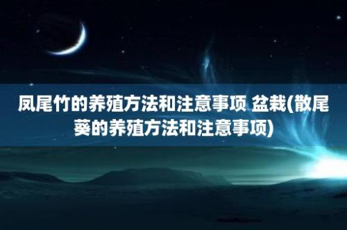 凤尾竹的养殖方法和注意事项 盆栽(散尾葵的养殖方法和注意事项)