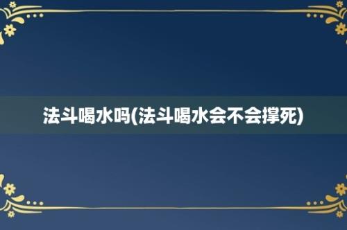 法斗喝水吗(法斗喝水会不会撑死)