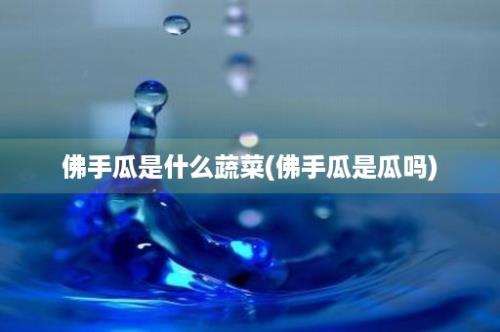 佛手瓜是什么蔬菜(佛手瓜是瓜吗)