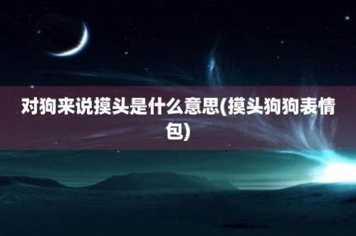 对狗来说摸头是什么意思(摸头狗狗表情包)