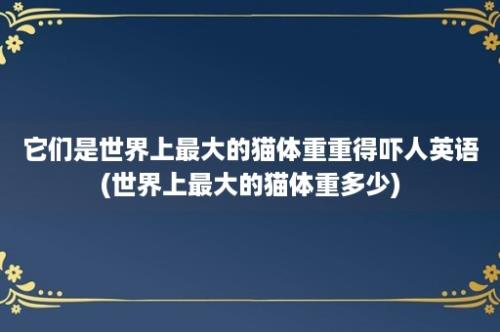 它们是世界上最大的猫体重重得吓人英语(世界上最大的猫体重多少)