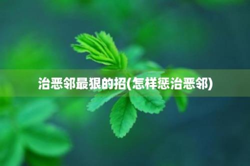 治恶邻最狠的招(怎样惩治恶邻)