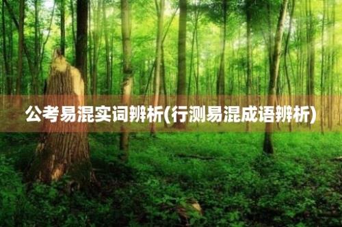 公考易混实词辨析(行测易混成语辨析)