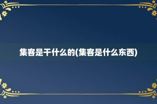 集客是干什么的(集客是什么东西)