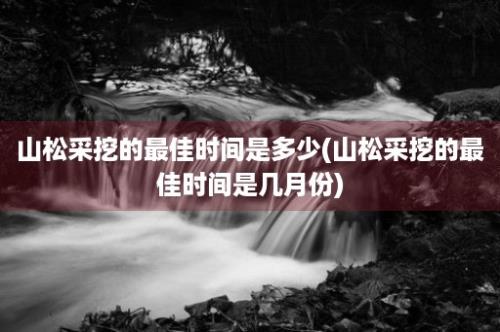 山松采挖的最佳时间是多少(山松采挖的最佳时间是几月份)