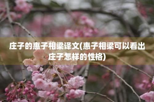 庄子的惠子相梁译文(惠子相梁可以看出庄子怎样的性格)