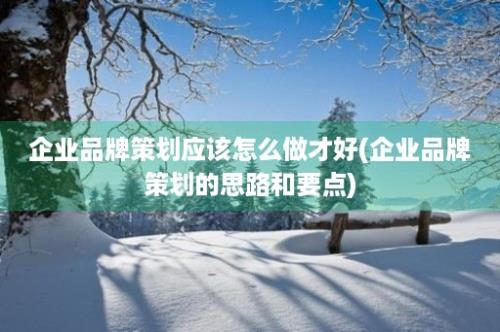 企业品牌策划应该怎么做才好(企业品牌策划的思路和要点)