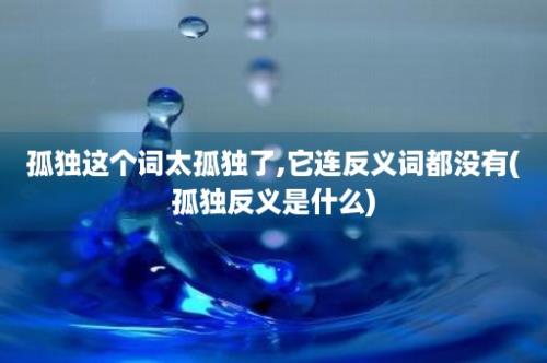 孤独这个词太孤独了,它连反义词都没有(孤独反义是什么)