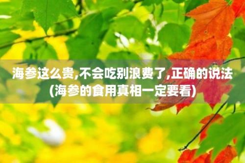 海参这么贵,不会吃别浪费了,正确的说法(海参的食用真相一定要看)