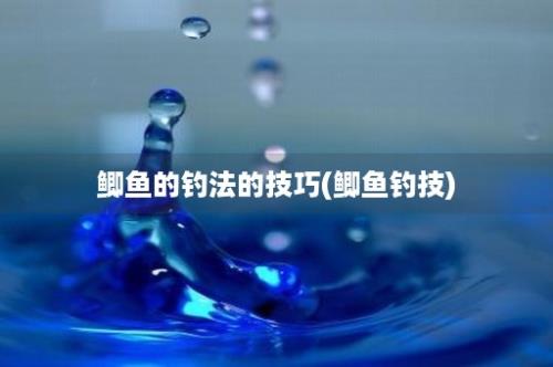 鲫鱼的钓法的技巧(鲫鱼钓技)