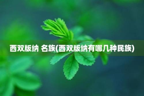 西双版纳 名族(西双版纳有哪几种民族)