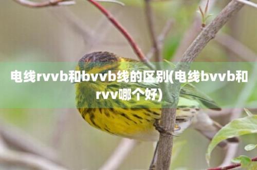 电线rvvb和bvvb线的区别(电线bvvb和rvv哪个好)