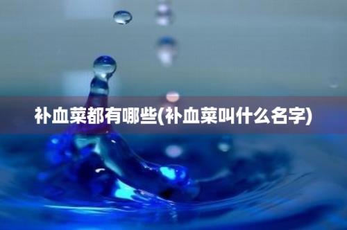 补血菜都有哪些(补血菜叫什么名字)