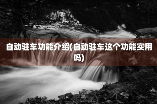 自动驻车功能介绍(自动驻车这个功能实用吗)