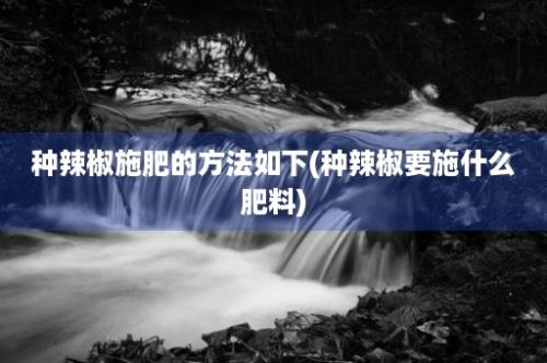 种辣椒施肥的方法如下(种辣椒要施什么肥料)