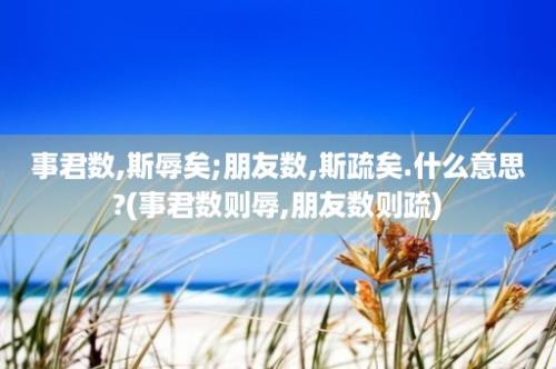 事君数,斯辱矣;朋友数,斯疏矣.什么意思?(事君数则辱,朋友数则疏)