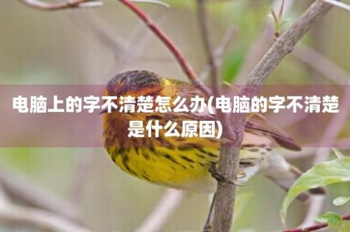 电脑上的字不清楚怎么办(电脑的字不清楚是什么原因)