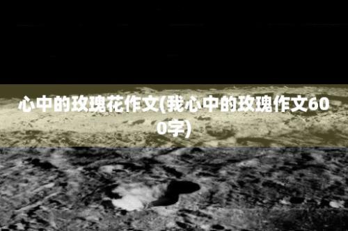 心中的玫瑰花作文(我心中的玫瑰作文600字)