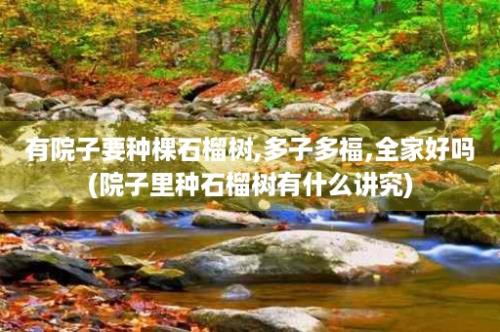 有院子要种棵石榴树,多子多福,全家好吗(院子里种石榴树有什么讲究)