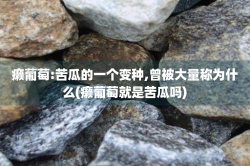 癞葡萄:苦瓜的一个变种,曾被大量称为什么(癞葡萄就是苦瓜吗)