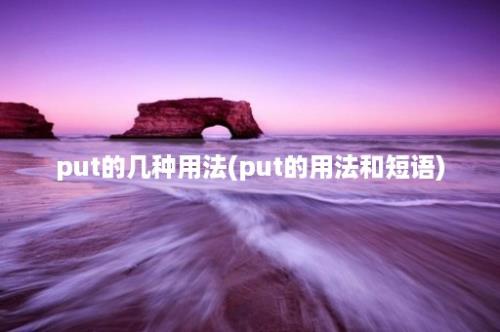 put的几种用法(put的用法和短语)